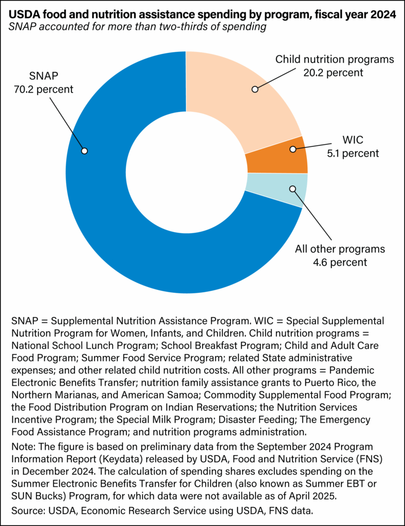 SNAP Key Statistics